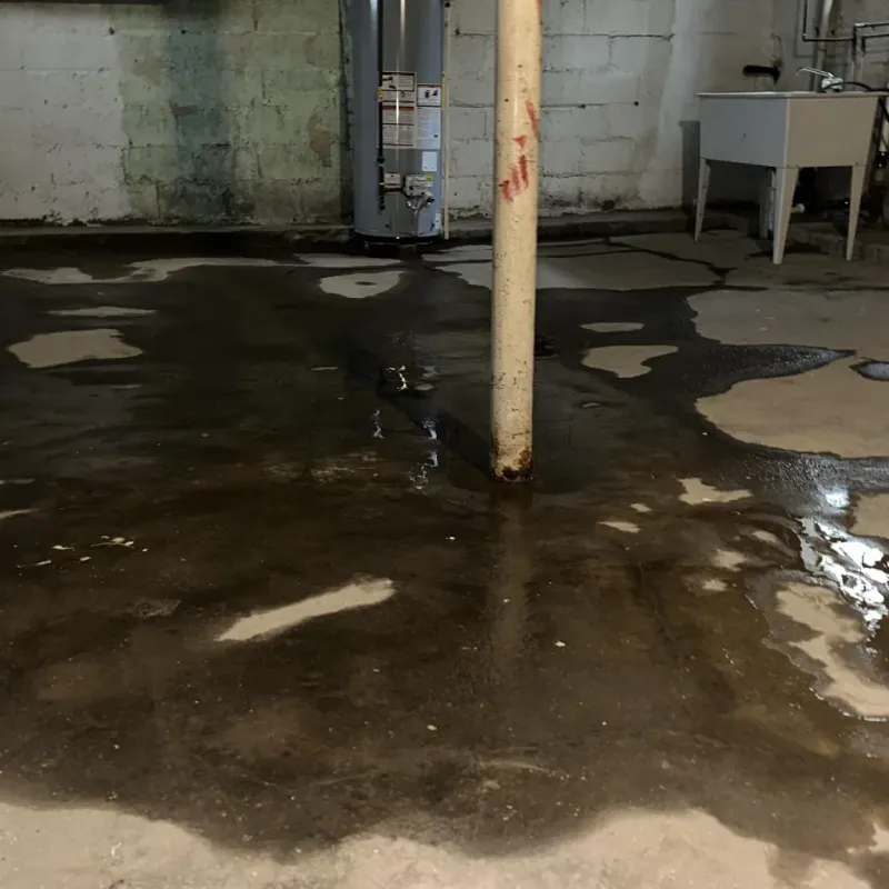 Emergency Water Extraction And Removal in Royal Pines, NC